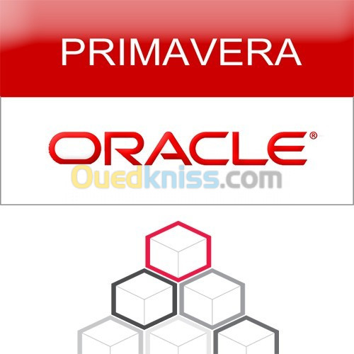 Formation PRIMAVERA P6 PPM