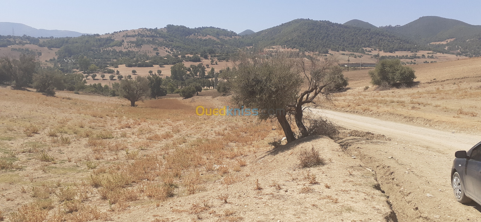 Vente Terrain Blida El affroun