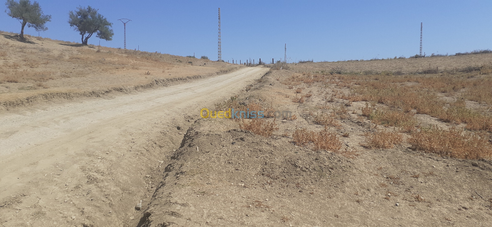 Vente Terrain Blida El affroun