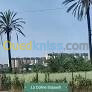 Location Appartement F4 Alger Staoueli