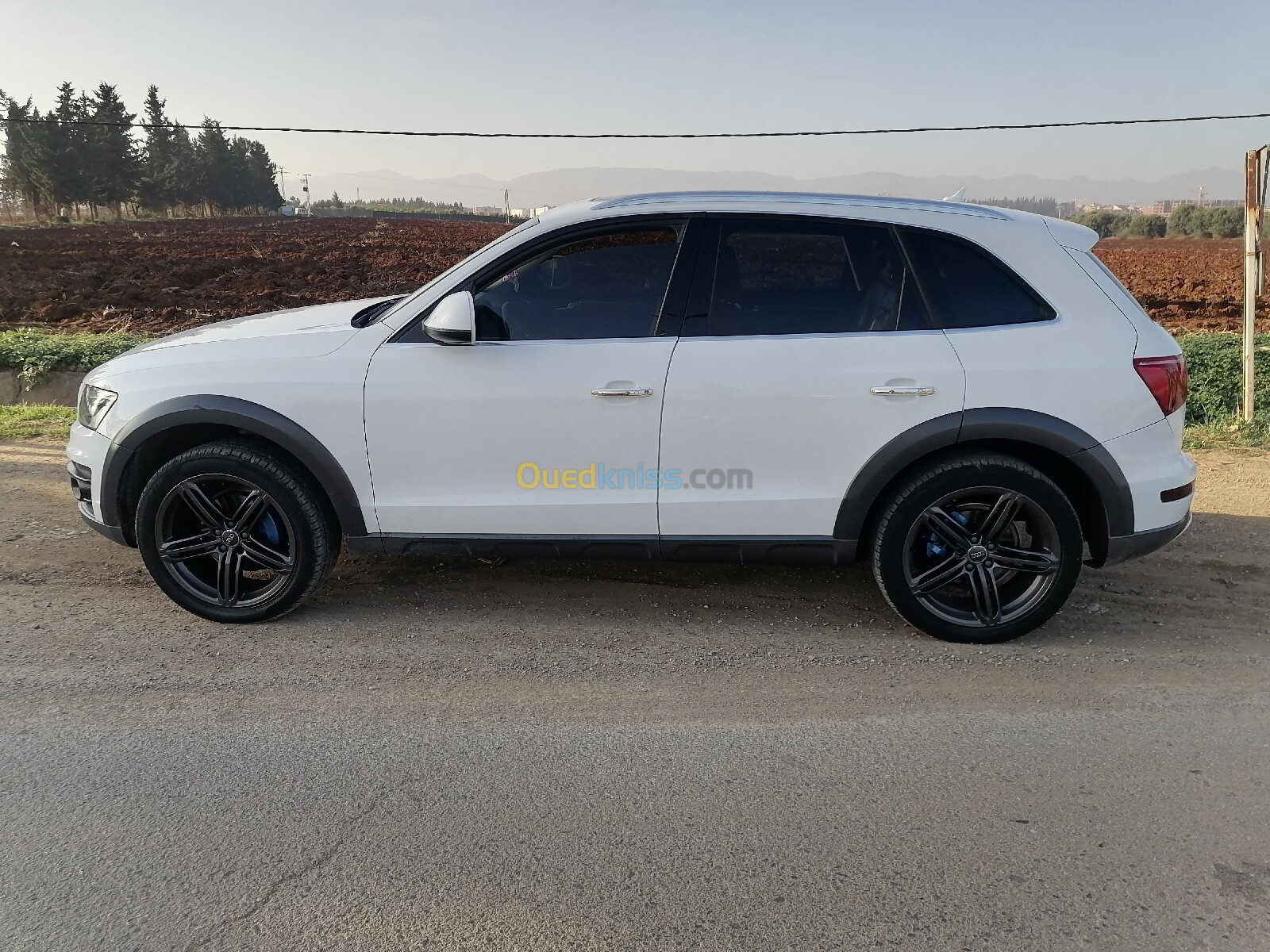 Audi Q5 2012 Off Road