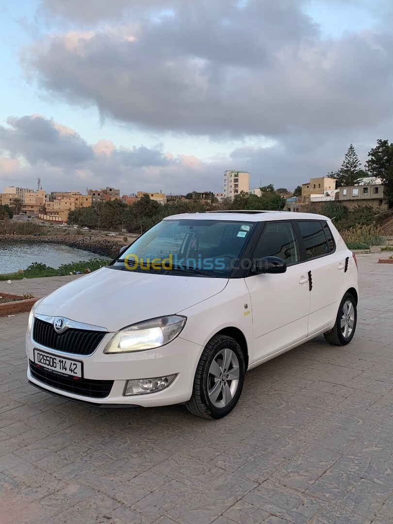 Skoda Fabia 2014 Fresh