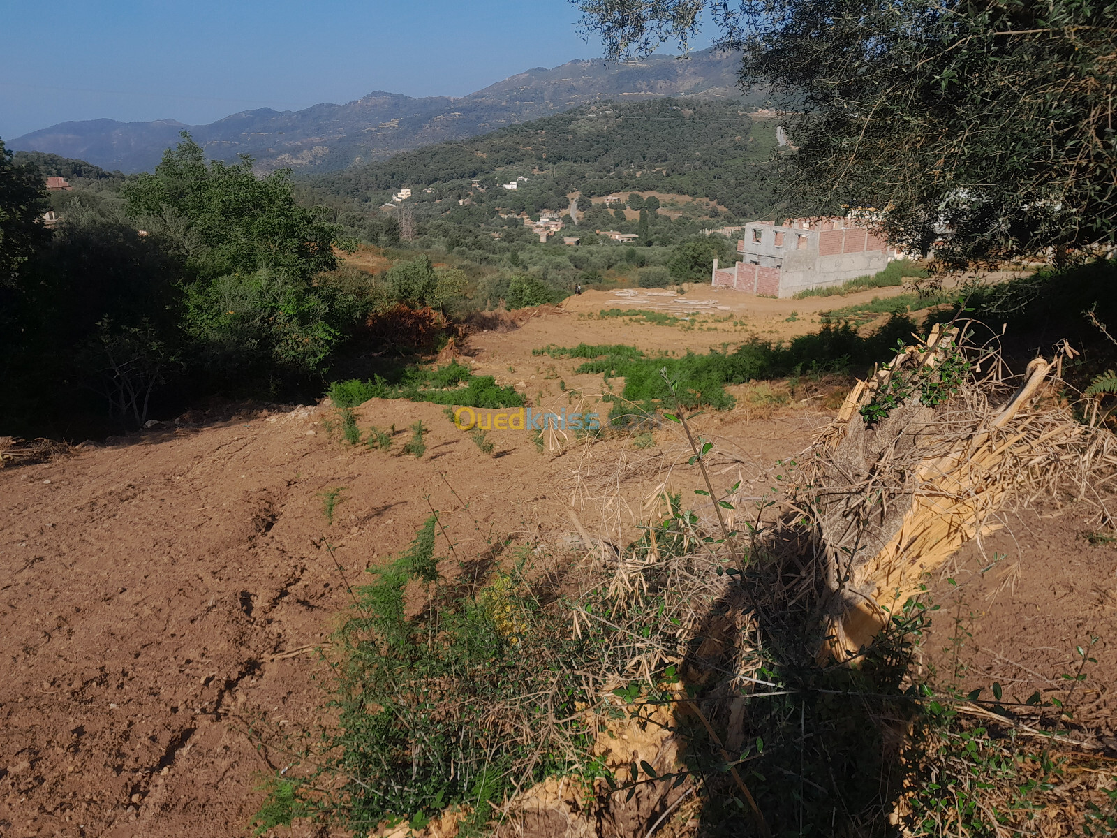 Cherche location Terrain Jijel Texenna