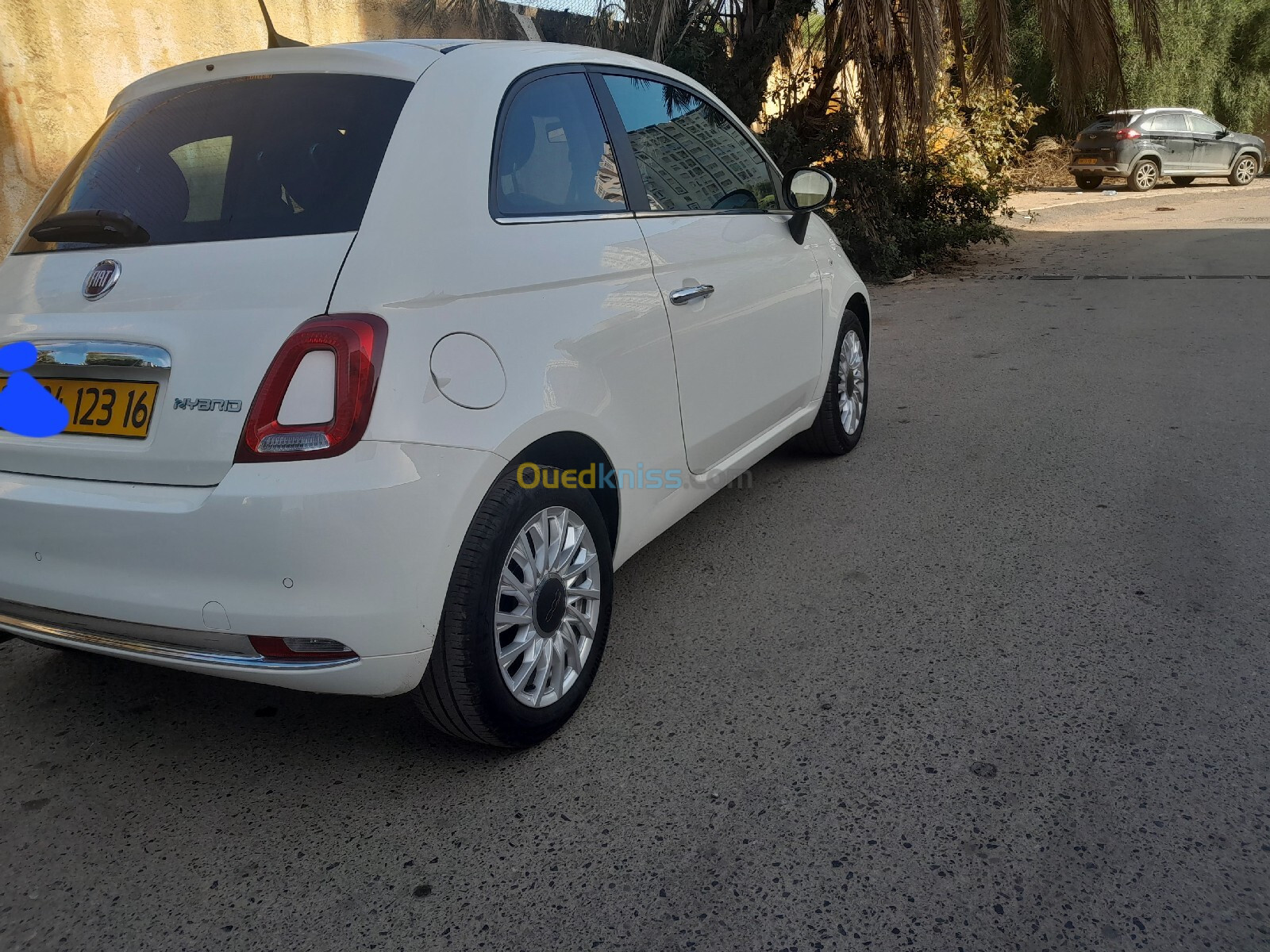 Fiat Fiat 500 2023 2023 Clubs