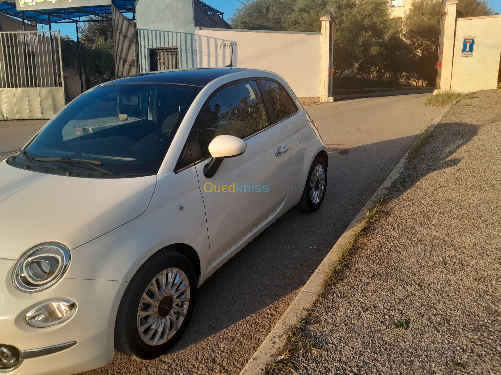 Fiat Fiat 500 2023 Clubs