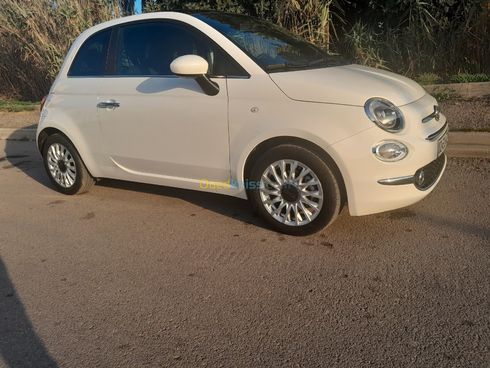 Fiat Fiat 500 2023 Clubs