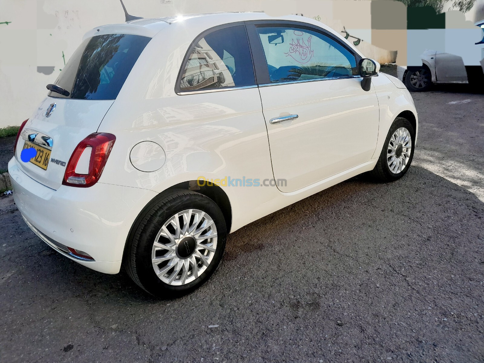 Fiat Fiat 500 2023 Clubs