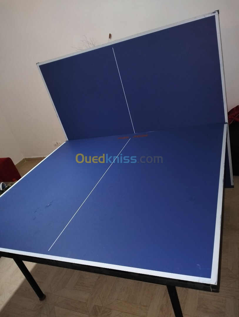 Table de ping pong professionnel 