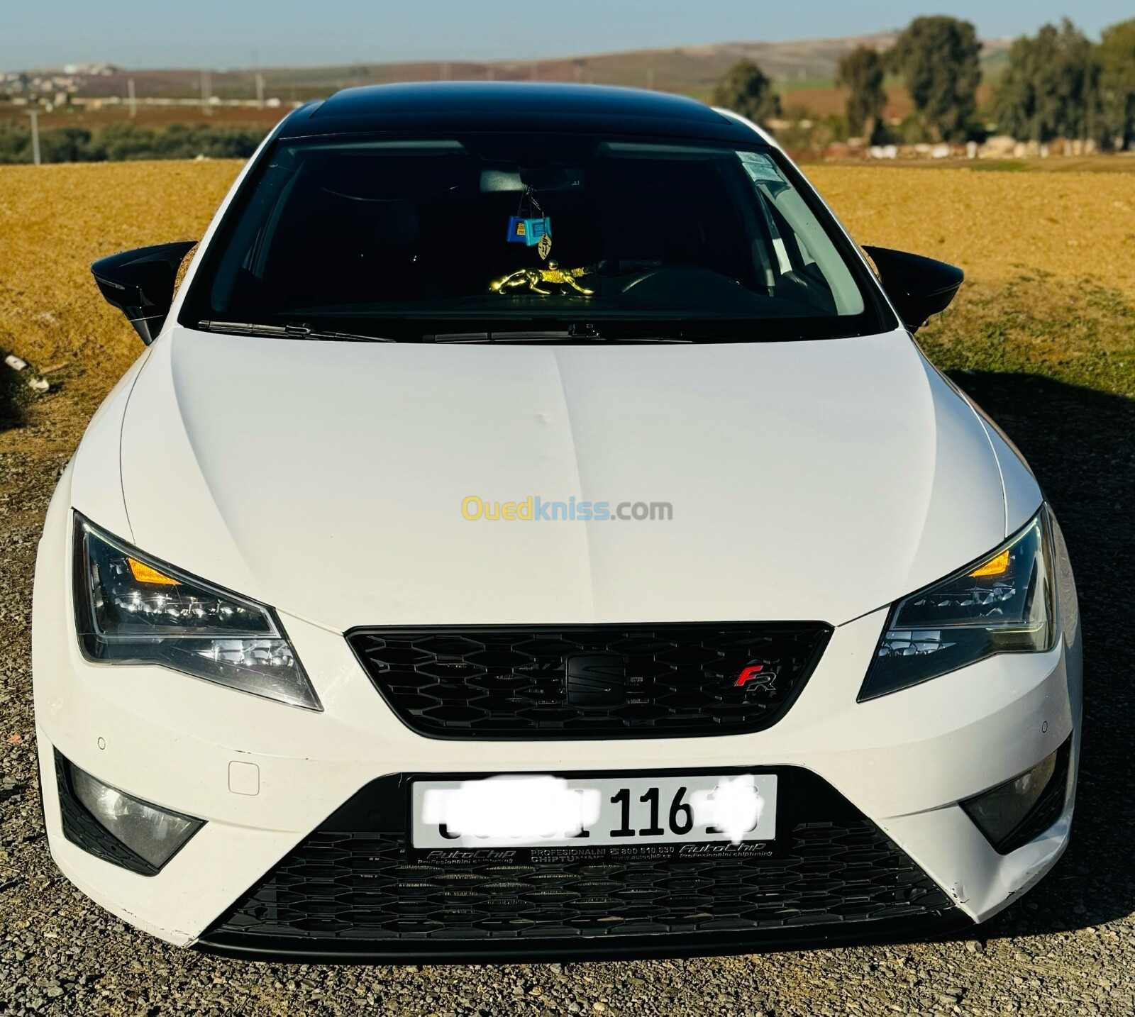 Seat Leon 2016 FR+15