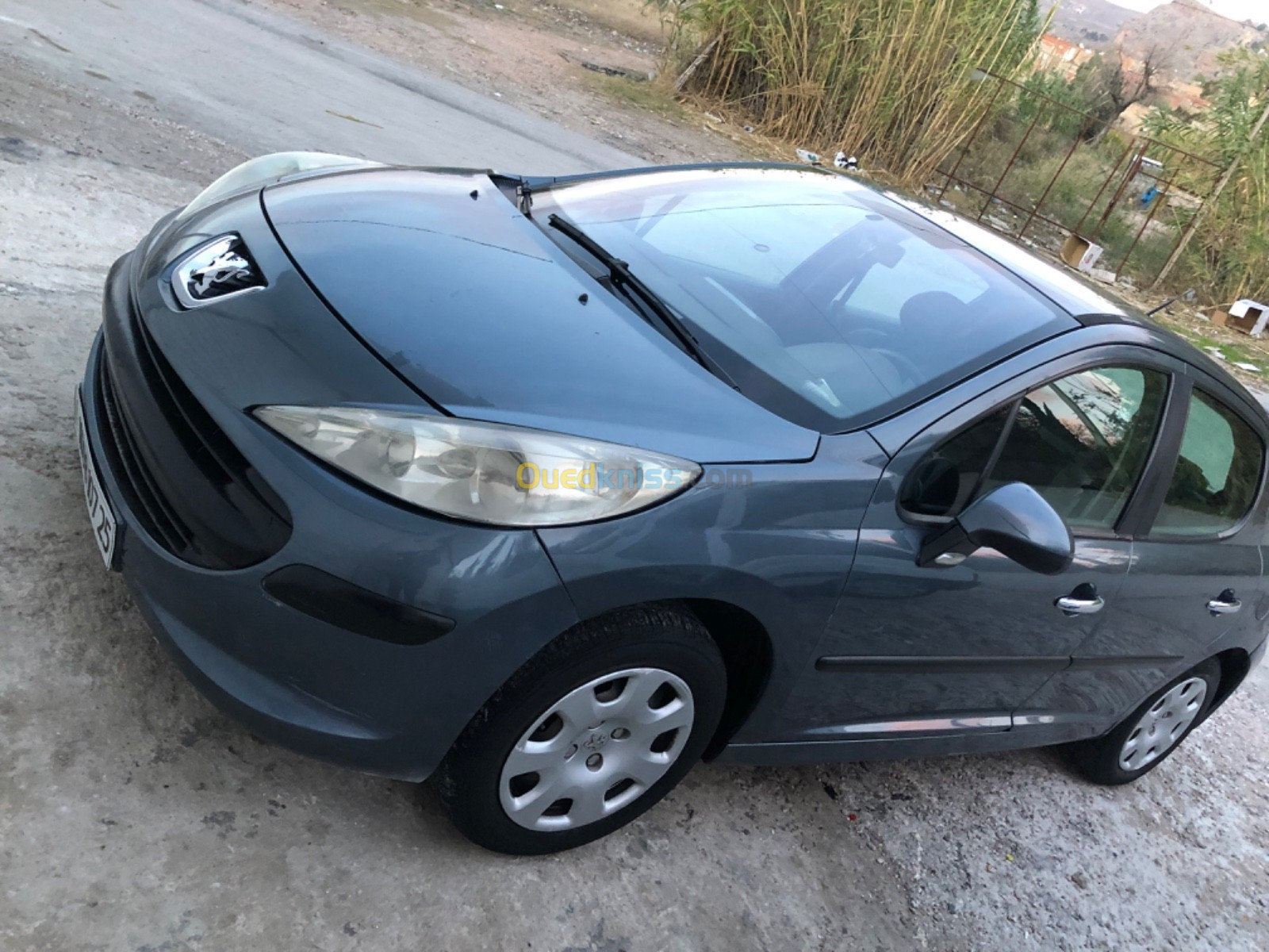 Peugeot 207 2007 207