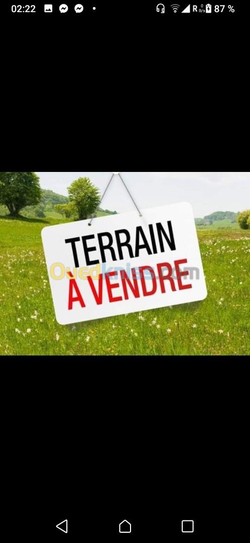 Vente Terrain Blida Chiffa