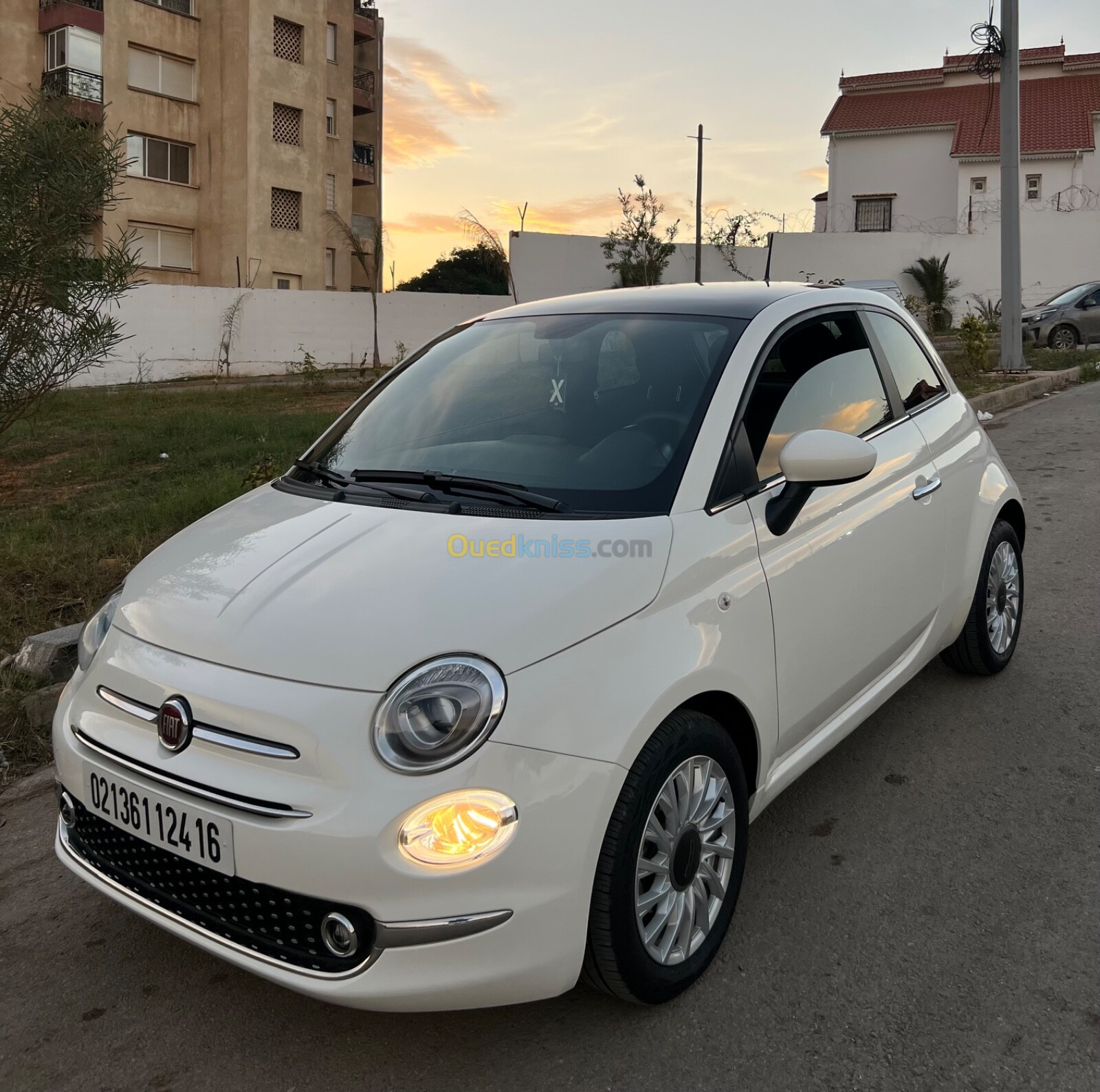 Fiat 500 2024 Club