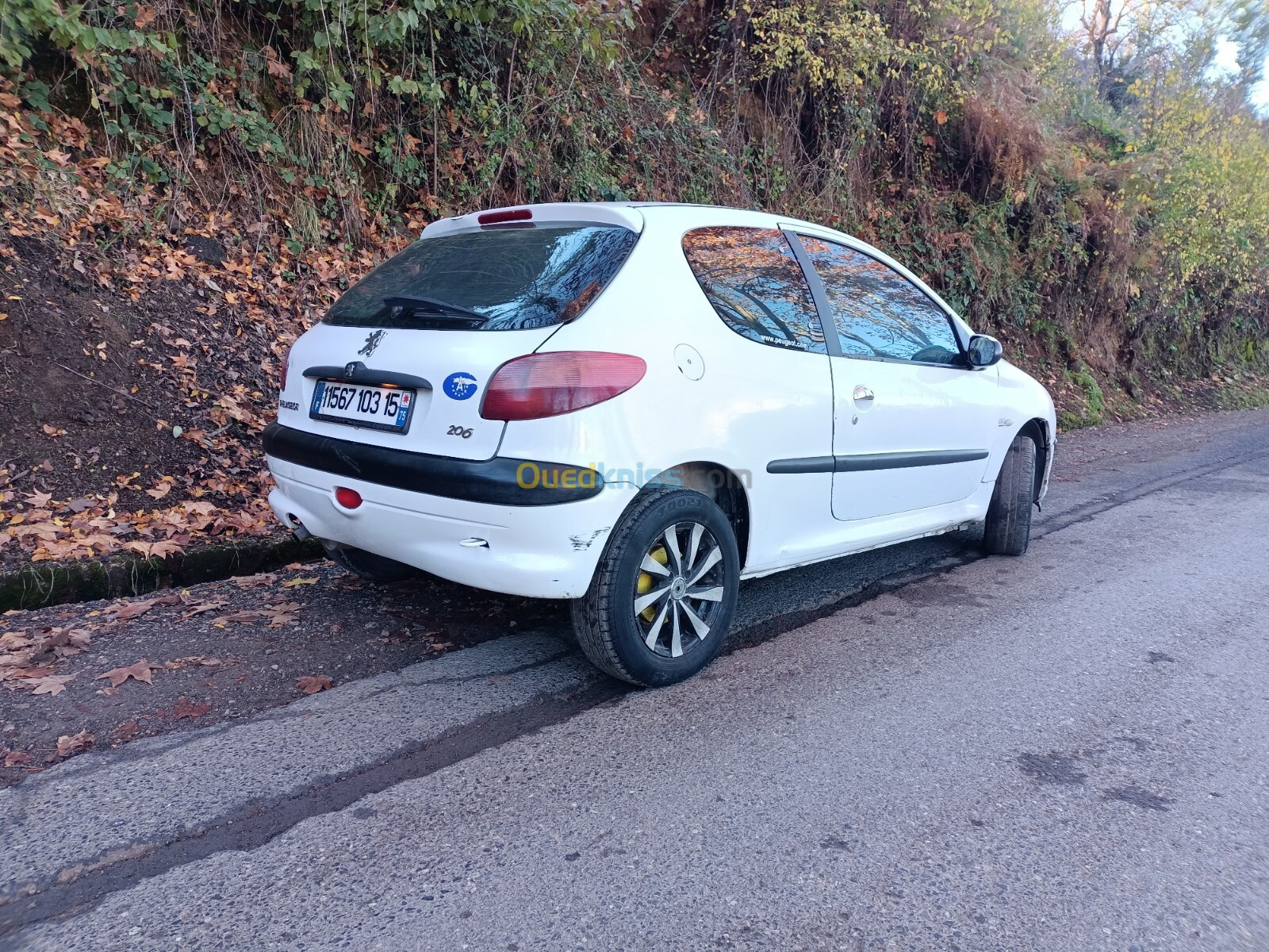 Peugeot 206 2003 206