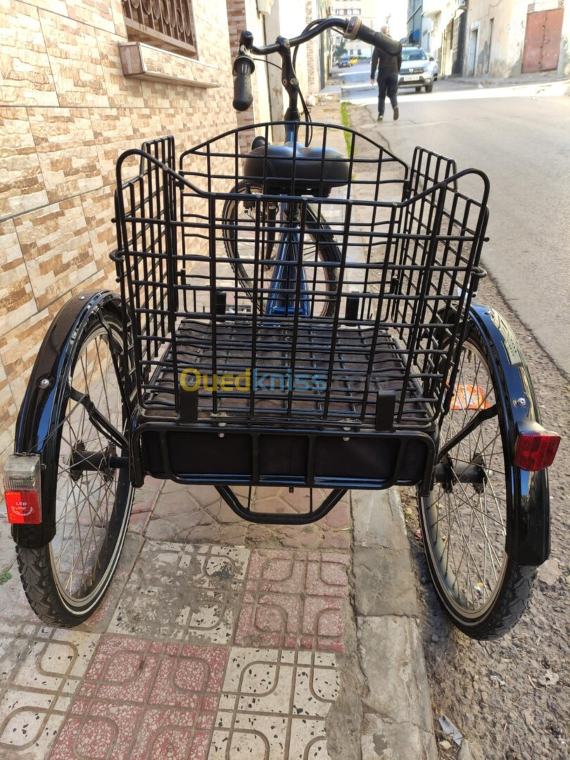 Vélo 3 roues éléctrique