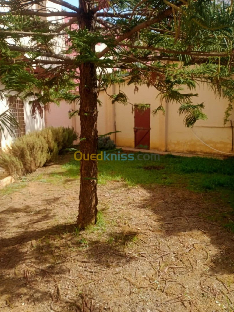 Vente Terrain Alger Draria