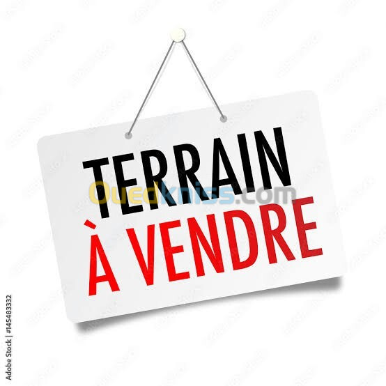 Vente Terrain Tlemcen Tlemcen