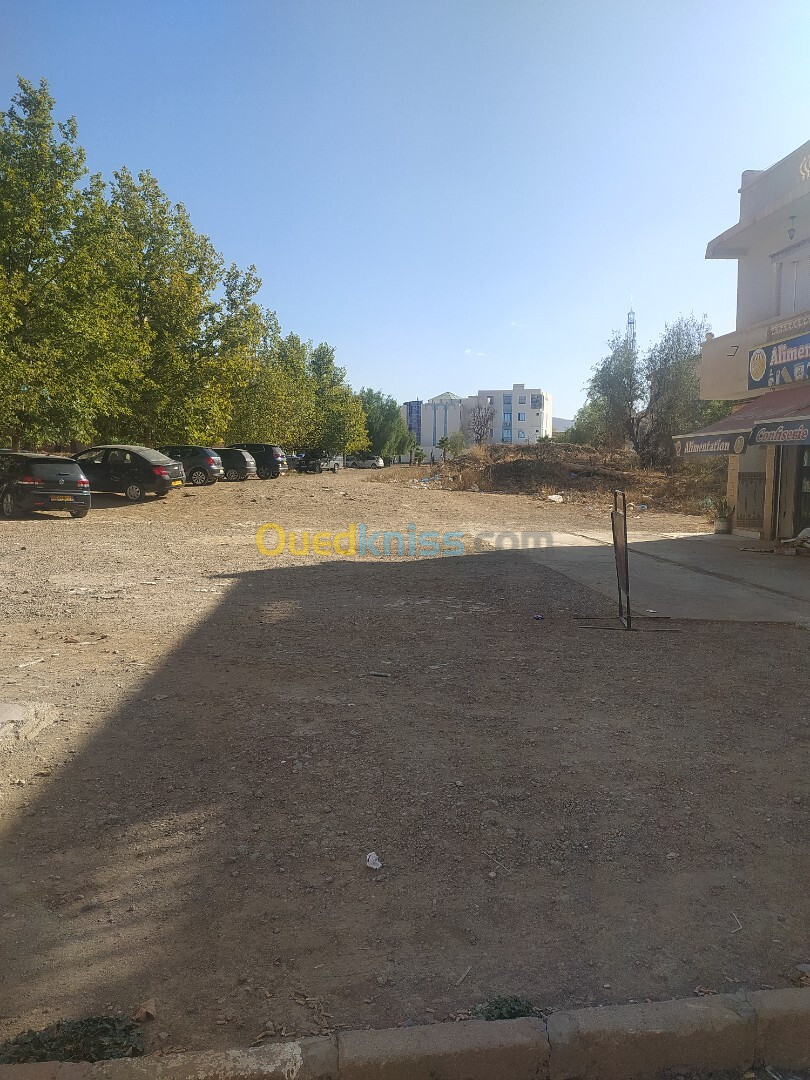 Vente Terrain Tlemcen Tlemcen