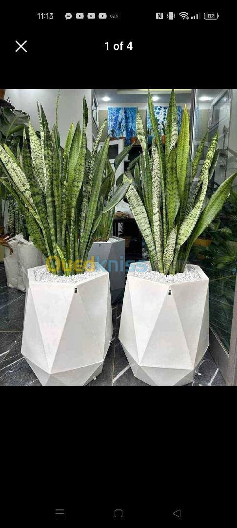 Pot de plantes pour décoration intérieur et extérieur 