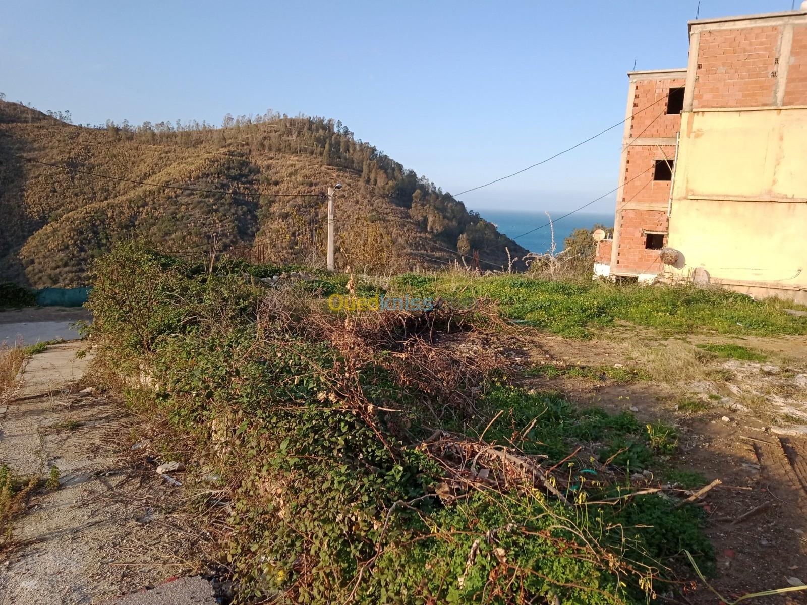 Vente Terrain Skikda Skikda