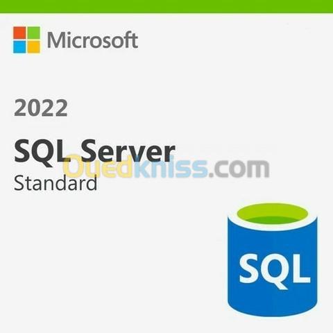 Windows SQL Server 2022 Standard CAL