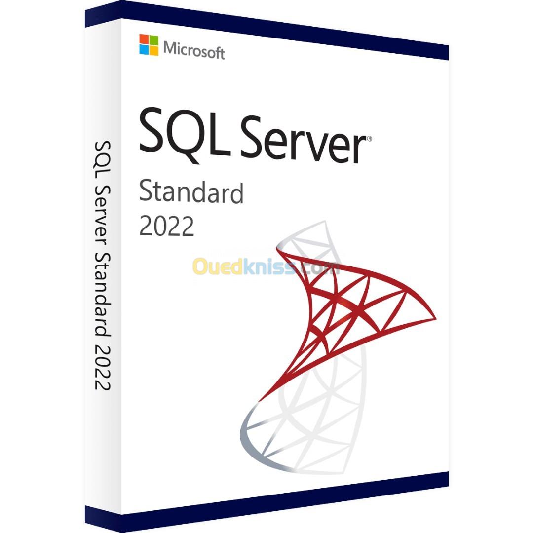 Windows SQL Server 2022 Standard CAL