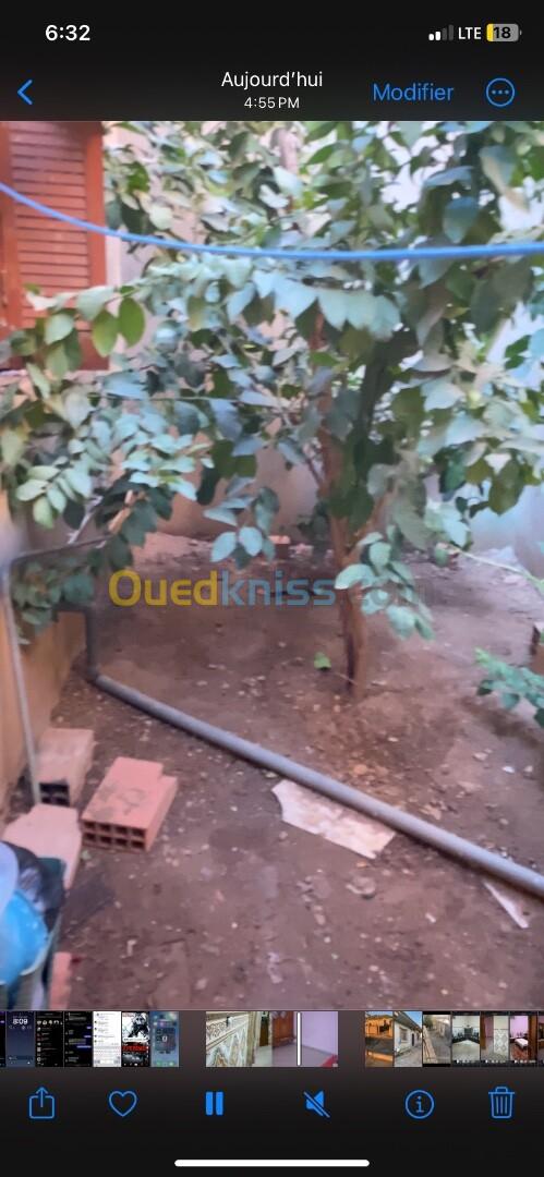 Vente Appartement F3 Aïn Defla Sidi lakhdar