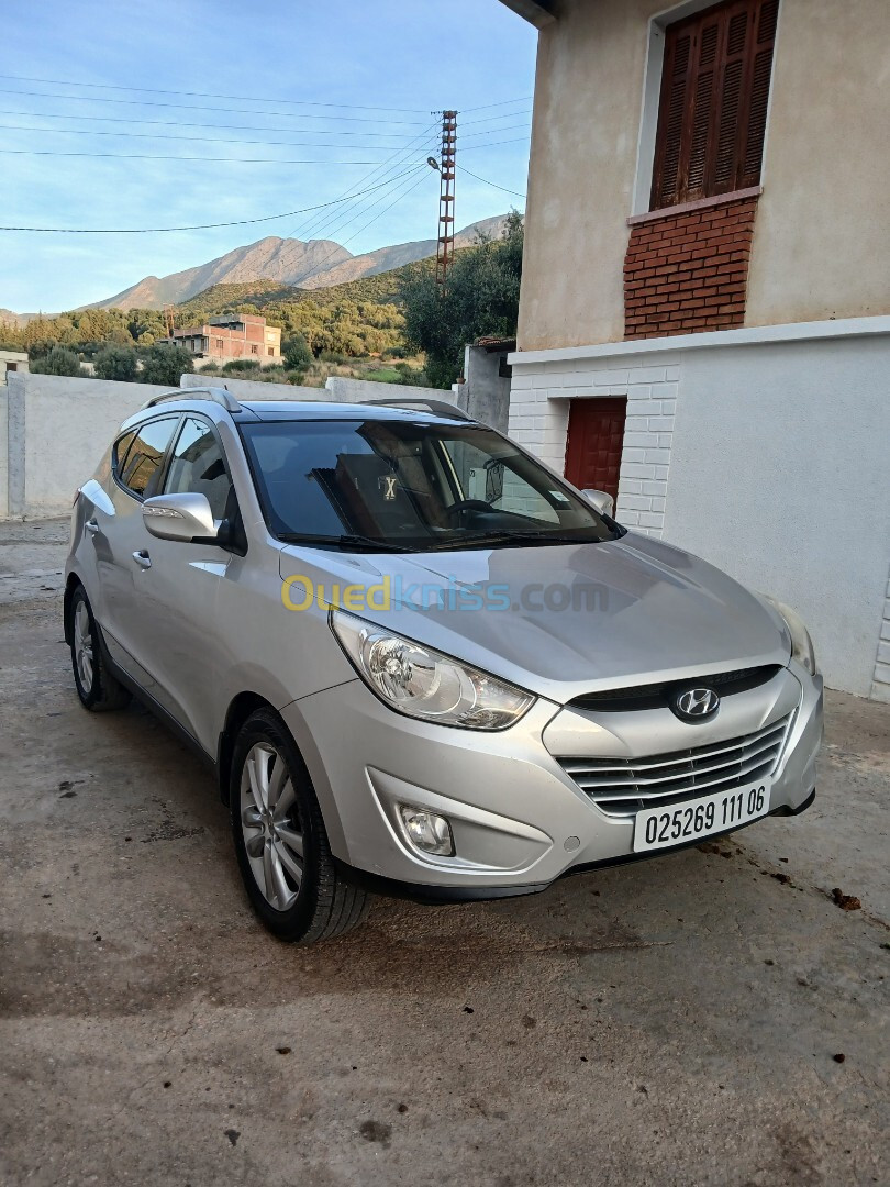 Hyundai Tucson 2011 Tucson