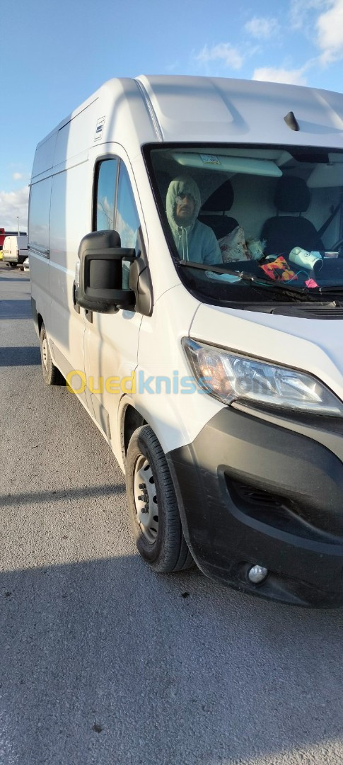 Fiat Professional Ducato 2023 