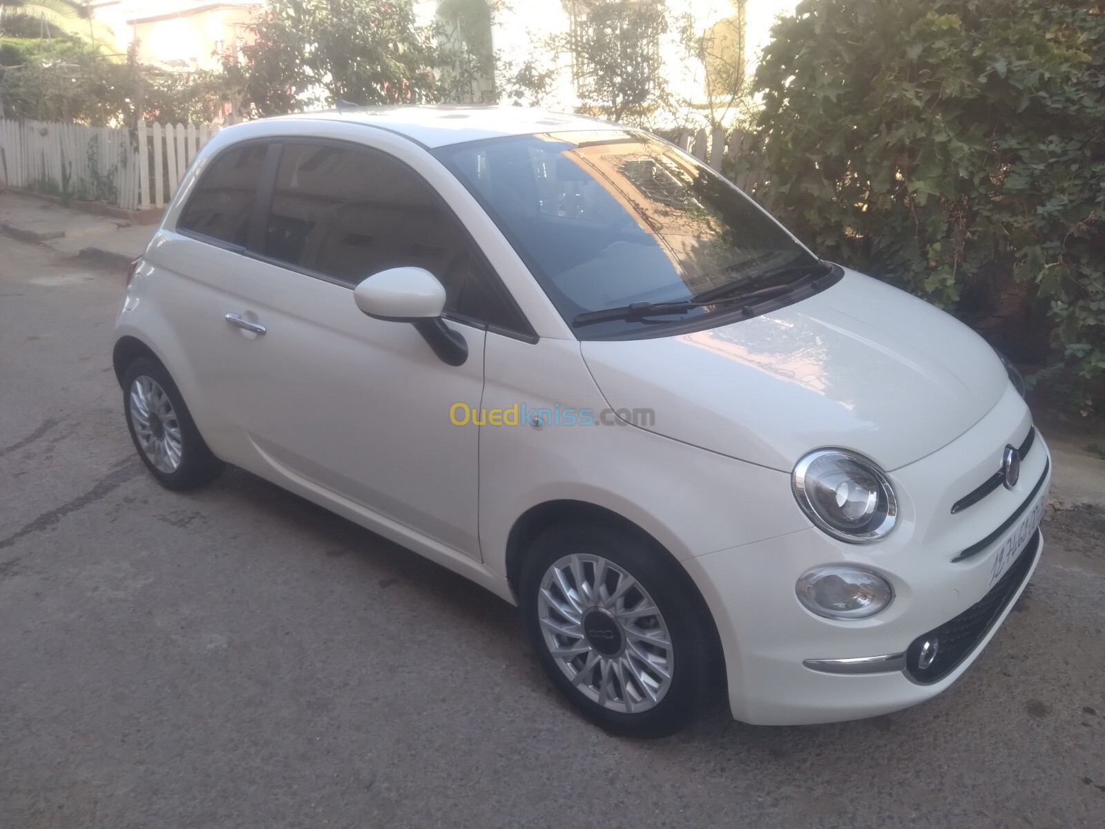 Fiat 500 2024 Fiat