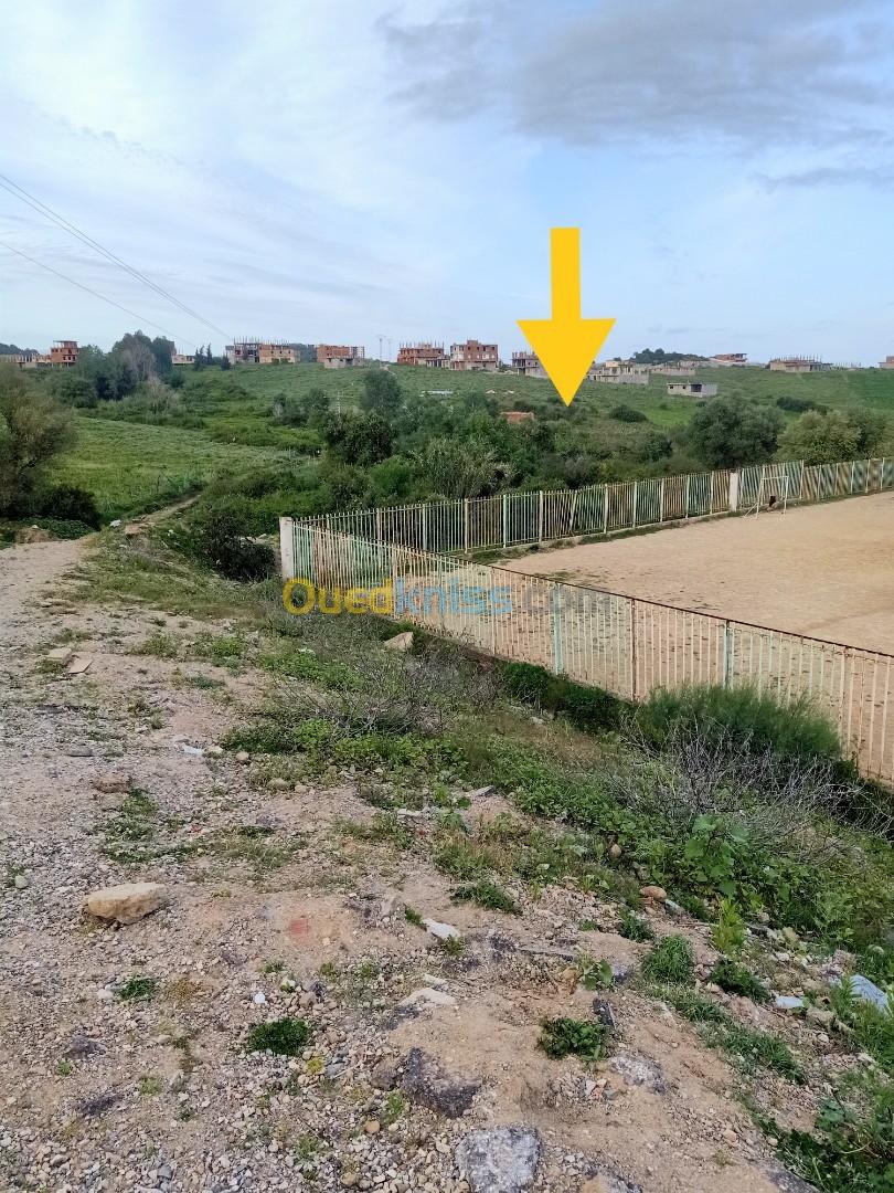 Sell Land Skikda Collo