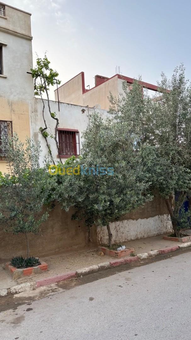 Vente Appartement Relizane Sidi mhamed ben ali