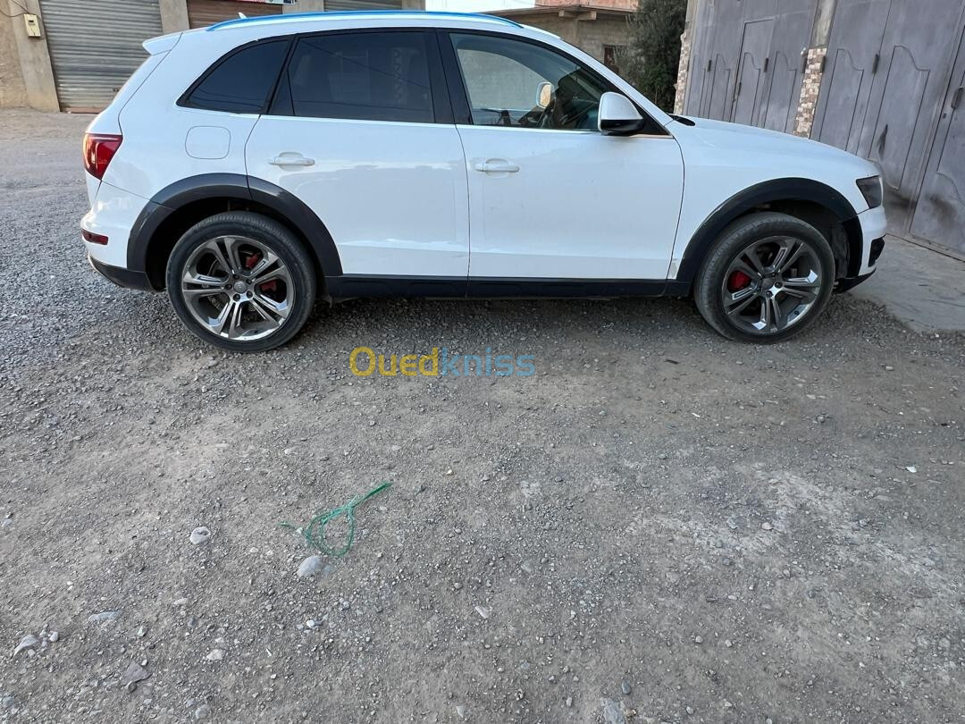 Audi Q5 2011 Off Road