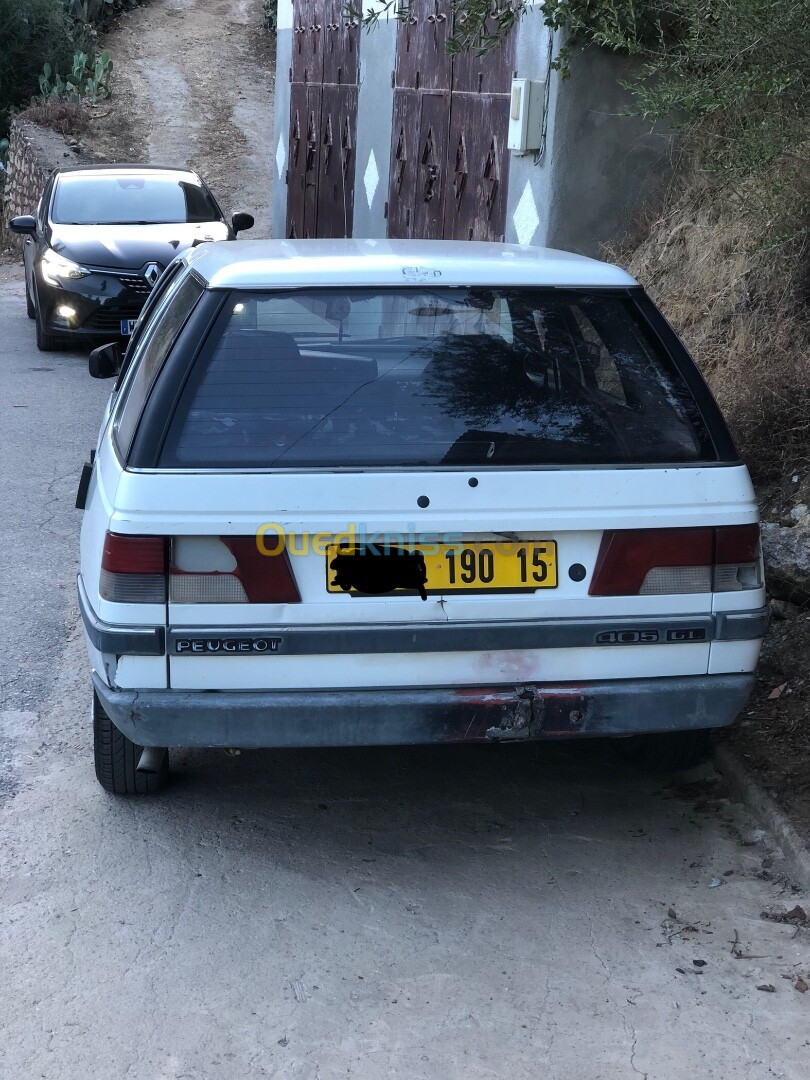 Peugeot 405 1990 405