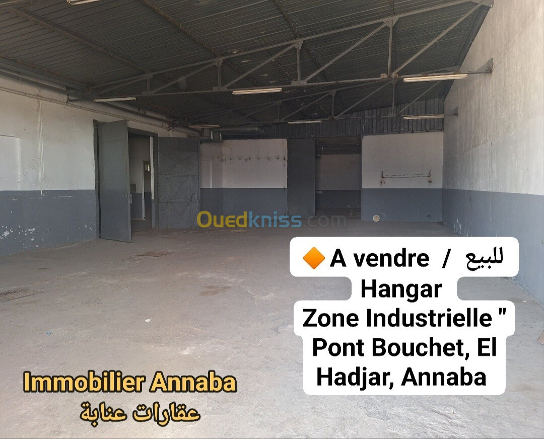 Vente Hangar Annaba El hadjar