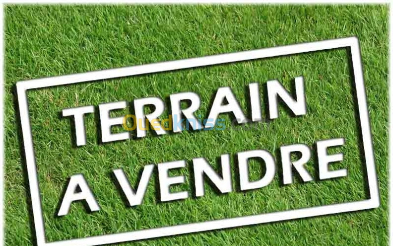 Vente Terrain Alger Cheraga