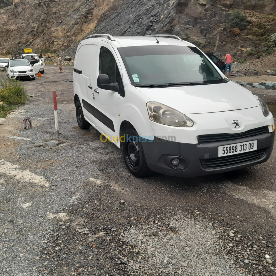 Peugeot Partner 2013 Tepee