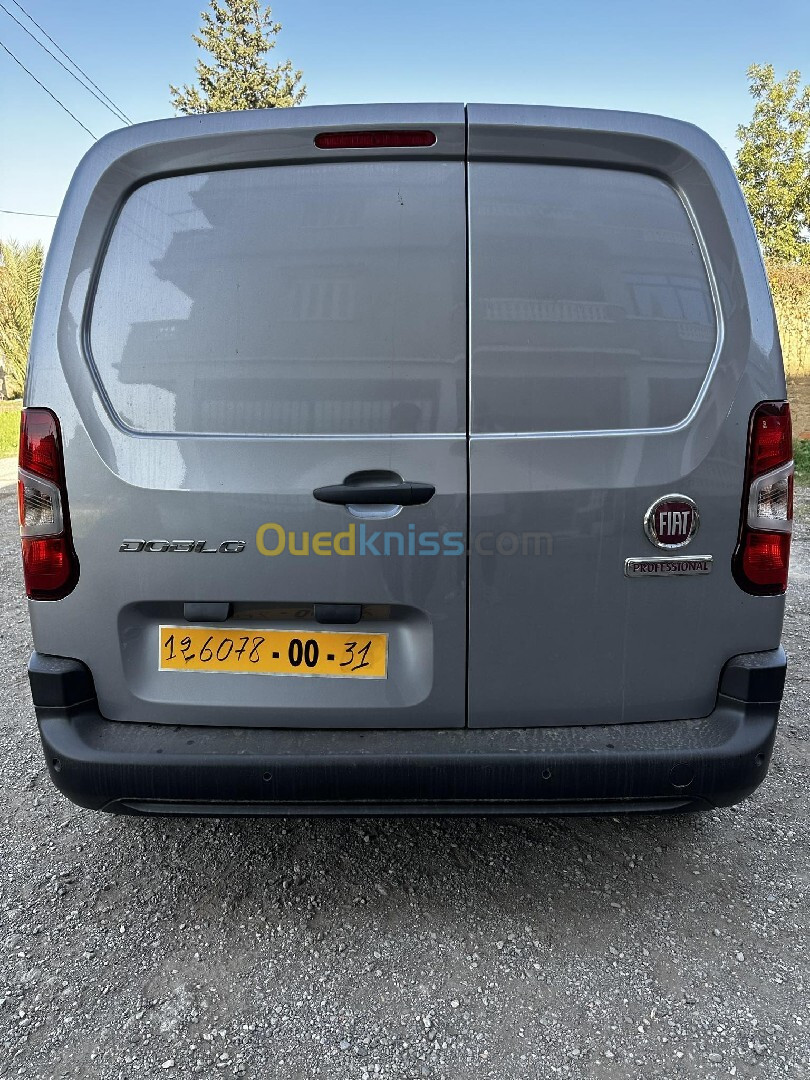 Fiat Professional Doblo 2024 