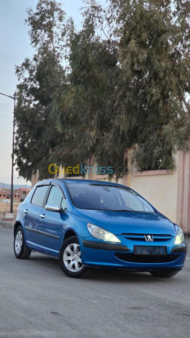 Peugeot 307 2004 XT