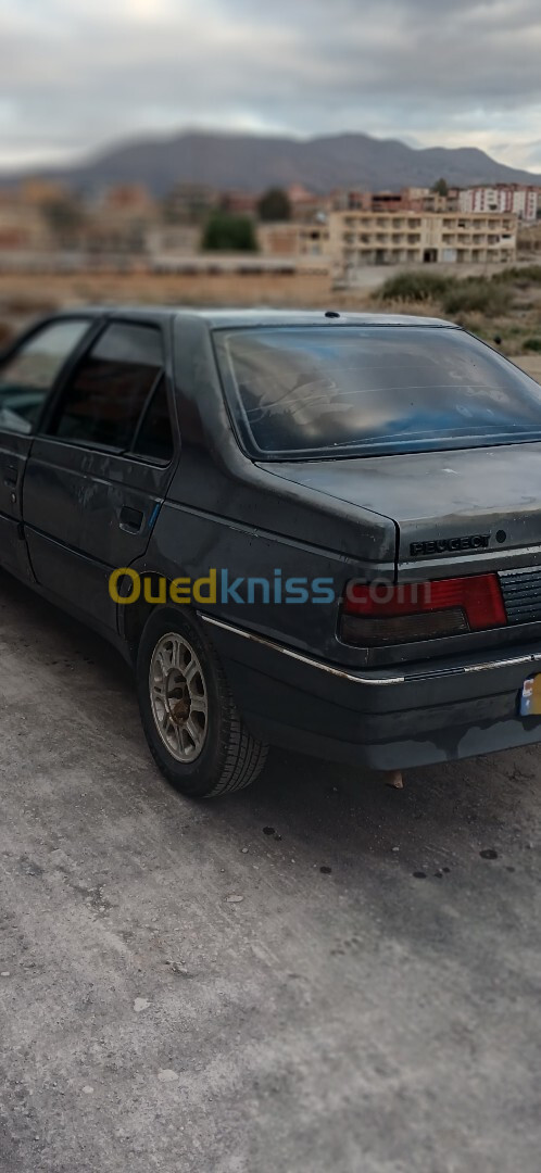 Peugeot 405 1990 405