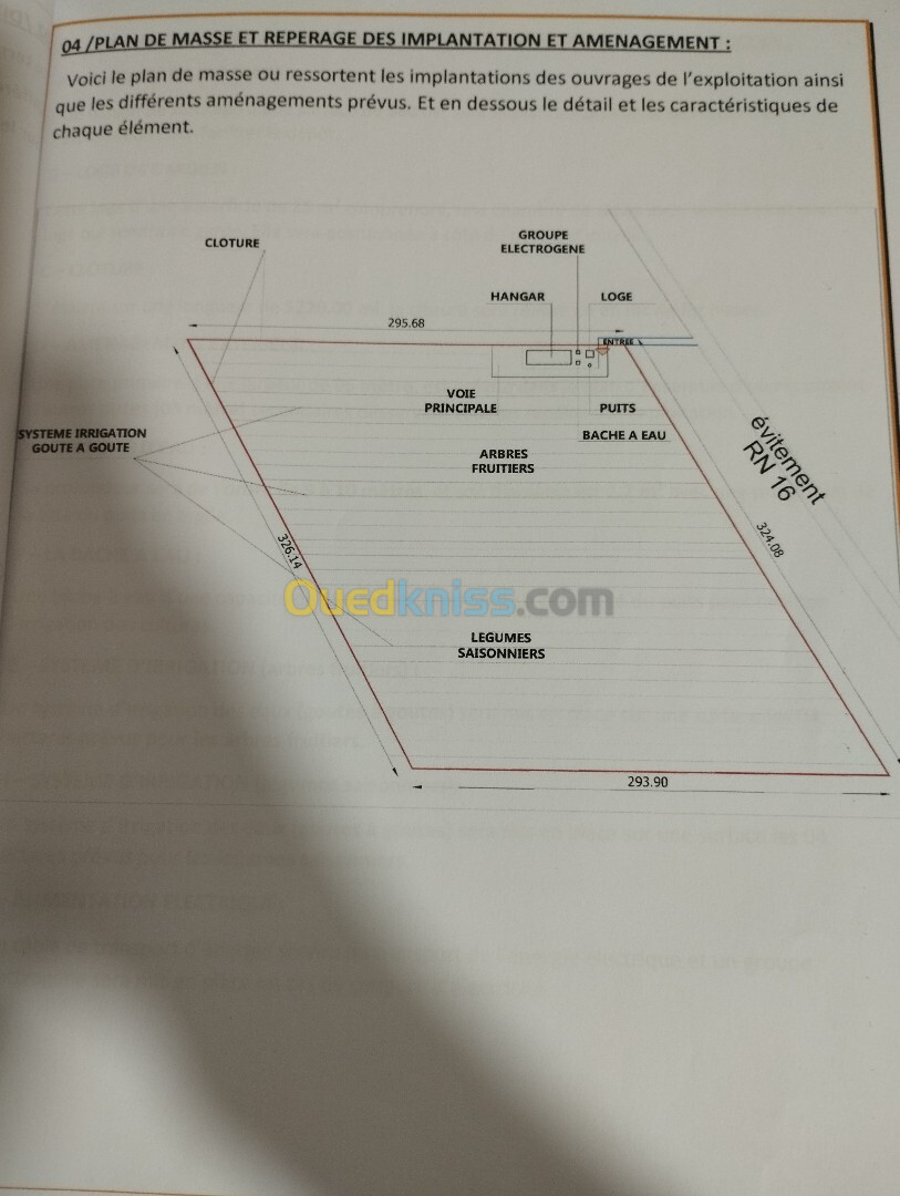 Vente Terrain Agricole El Tarf Chebaita mokhtar