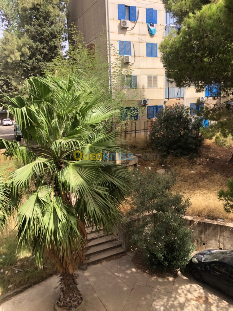 Vente Appartement F4 Alger Dely brahim