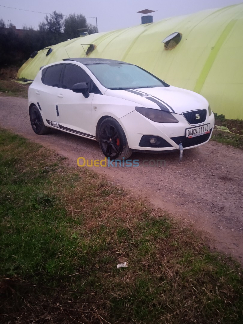 Seat Ibiza 2011 Loca