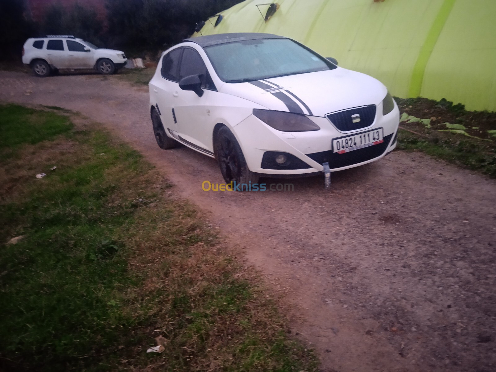 Seat Ibiza 2011 Loca