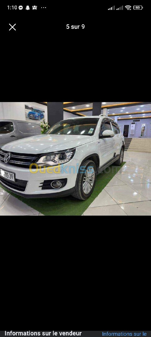 Volkswagen Tiguan 2015 Cup