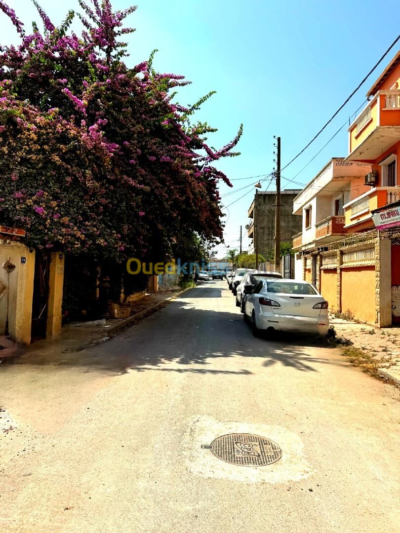 Vente Appartement F2 Alger El harrach