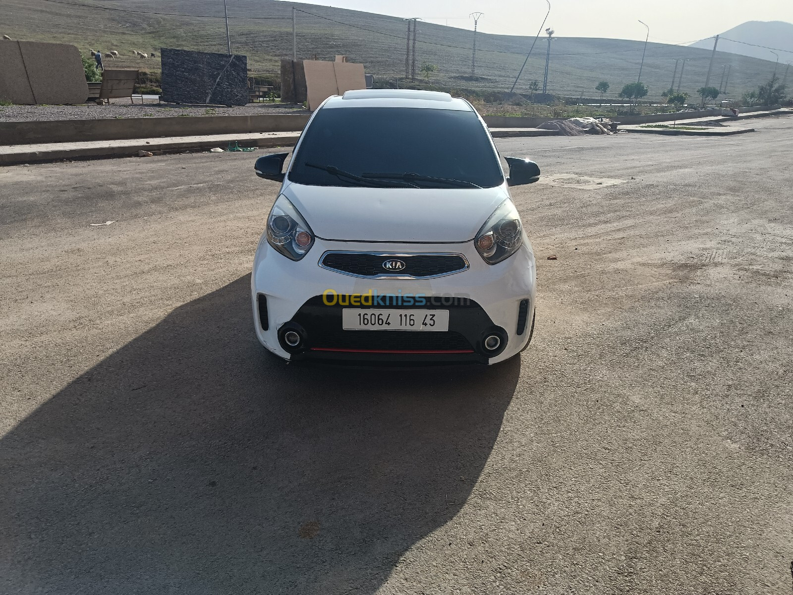 Kia Picanto 2016 Sportline