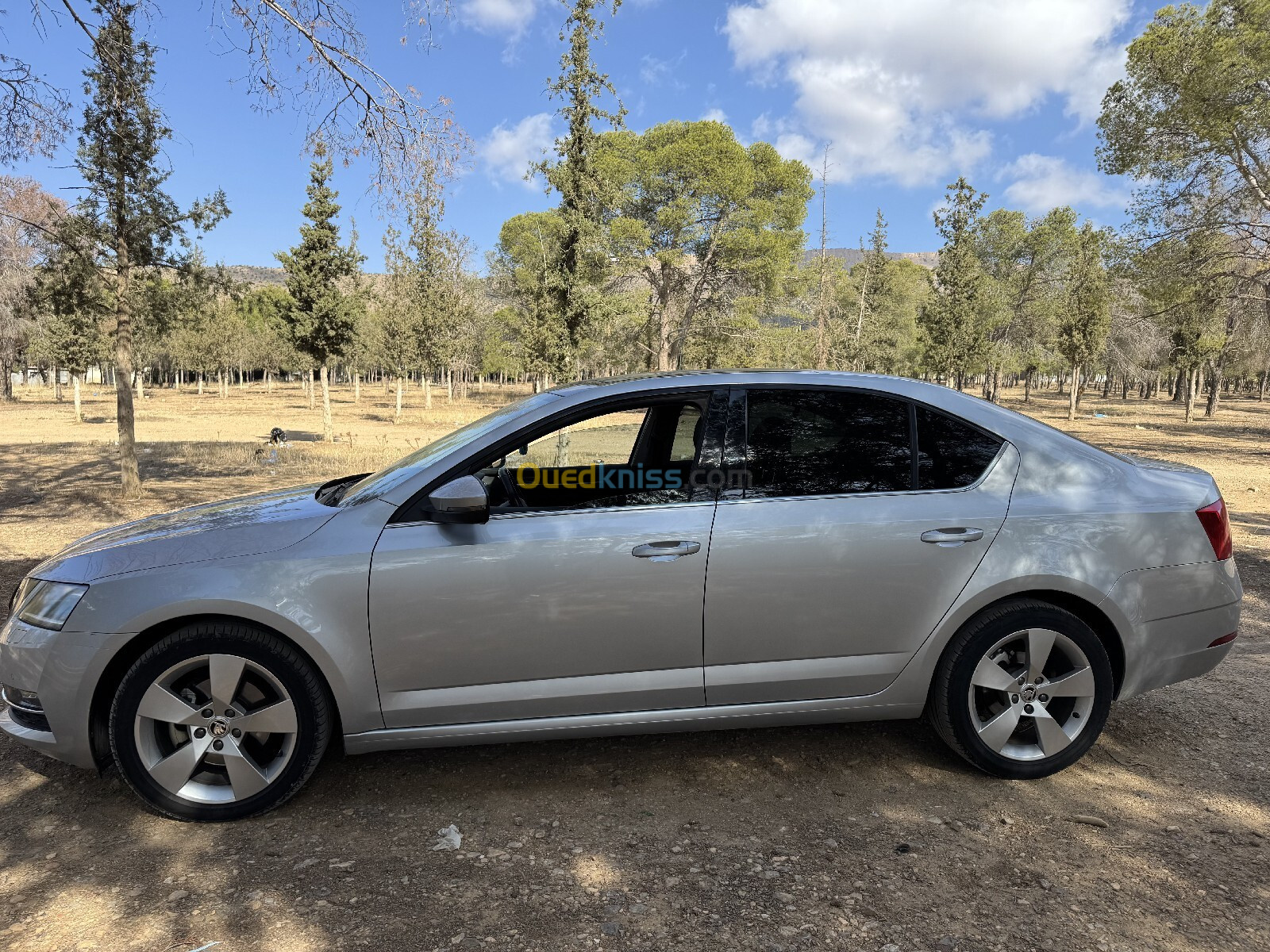 Skoda Octavia 2017 Style