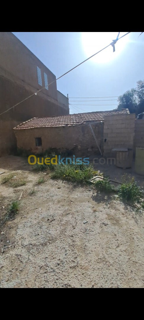 Vente Terrain Sidi Bel Abbès Sidi bel abbes