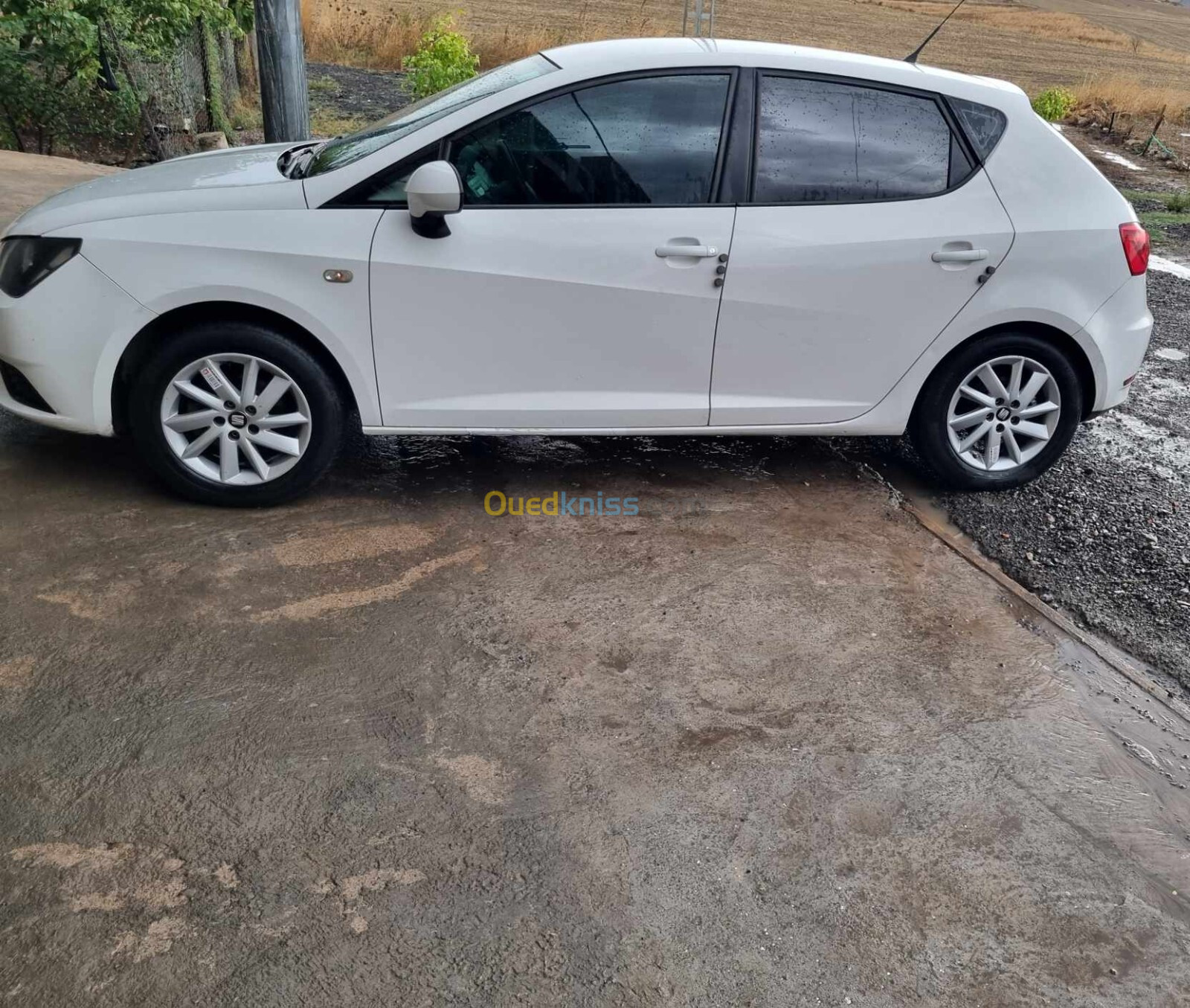 Seat Ibiza 2018 