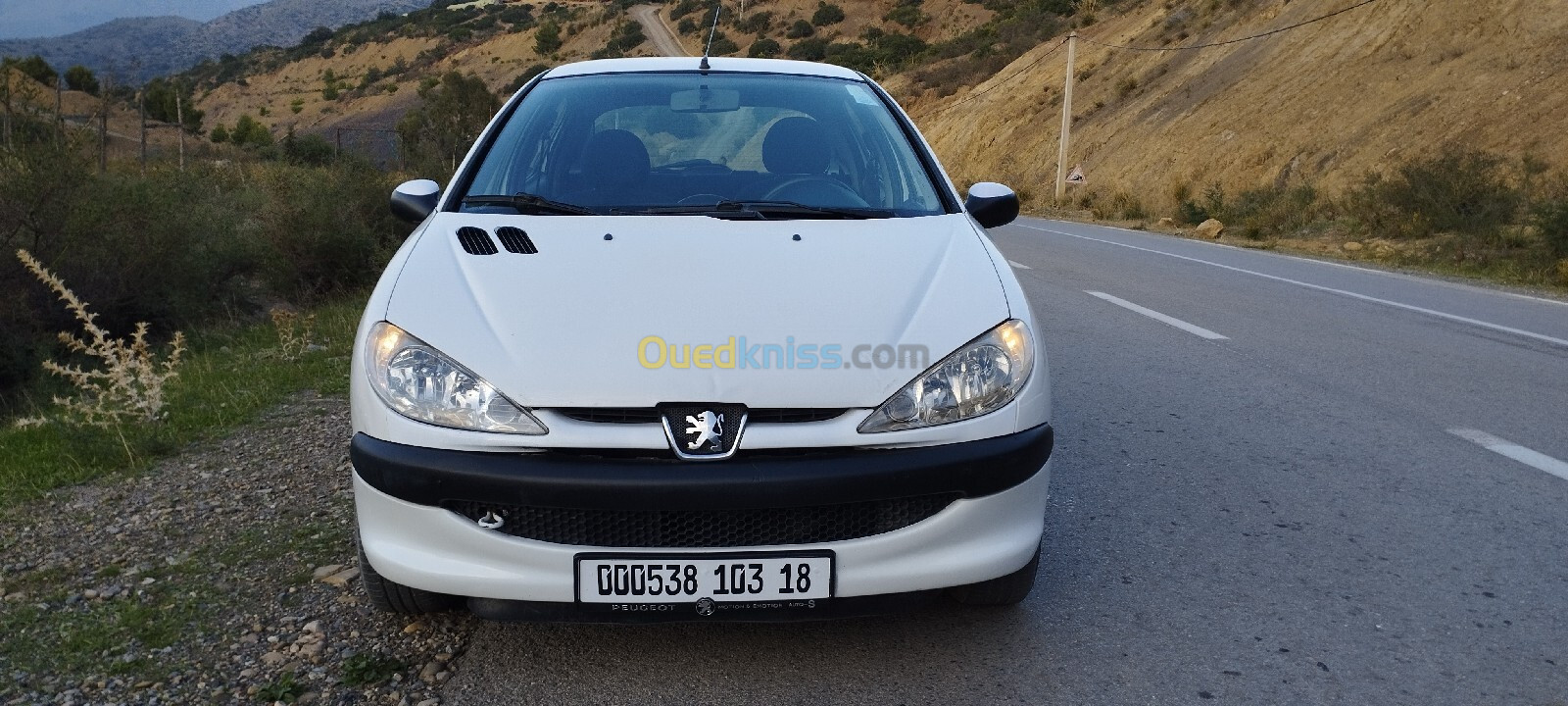 Peugeot 206 2003 